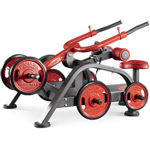 Купить Нагружаемый дисками тренажер Panatta FreeWeight Special 1FW140 в Москве