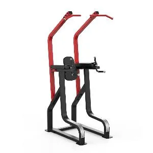 Поднятие коленей / брусья / турник Aerofit Impulse SL7045+SL7045OPT