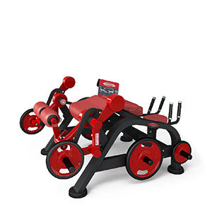 Купить Нагружаемый дисками тренажер Panatta FreeWeight Special 1FW082 в Москве