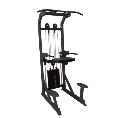 Гравитрон профессиональный BRONZE GYM PARTNER ML-701