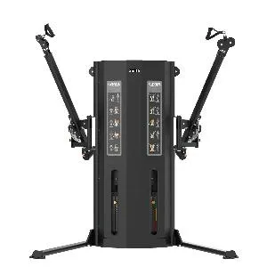 Двойная регулируемая тяга Smith Fitness Excellence RE8046