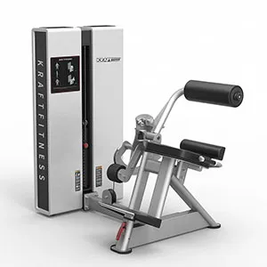 Разгибание спины Kraft Fitness KFXBE