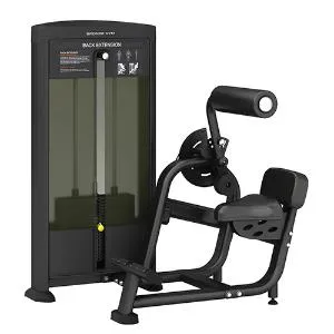 Разгибание спины Bronze Gym BLANC 31 профессиональный