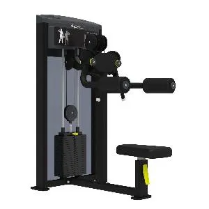 Дельтовидные мышцы Aerofit Impulse IF9324