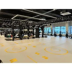 Тренировочная система Targex OCTANT