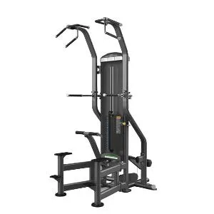 Гравитрон True Fitness FUSE-4000 (подтягивания/отжимания)