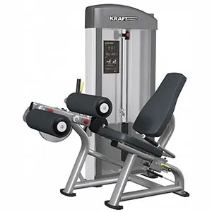 Сгибание ног сидя Kraft Fitness KFDSLC