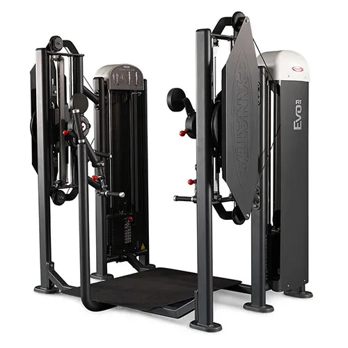 Независимый бицепс/трицепс стоя Panatta Fit Evo 1FE155
