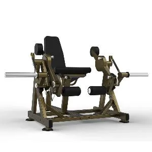 Разгибание ног сидя Realleader LD-2001 (HSPro-2001)