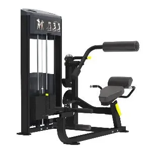 Пресс / разгибание спины Aerofit Impulse IF9334