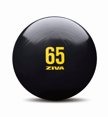 Мяч гимнастический Ziva 55 см