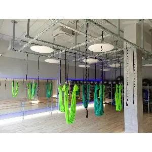 Подвесная система для антигравити йоги Targex Модель 5