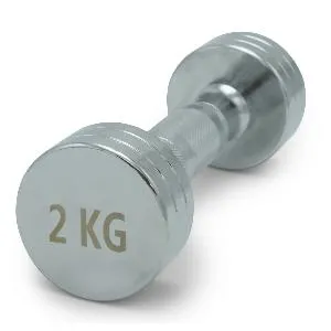 Гантель круглая хромированная Unix Fit PRO 2 кг / шт.