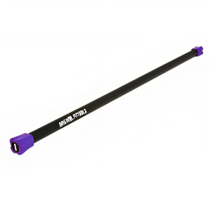 Купить Original FitTools Бодибар FT 6 кг пурпурный наконечник FT-BDB-6 в Москве
