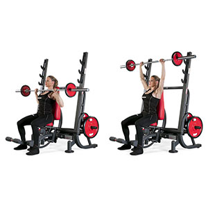 Силовой тренажер Panatta HP 1HP207B