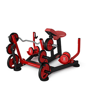 Купить Нагружаемый дисками тренажер Panatta FreeWeight Special 1FW512 в Москве