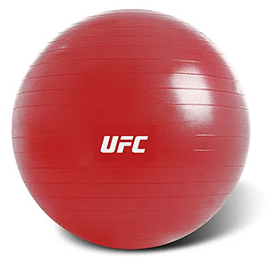Купить UFC Гимнастический мяч - (65 см) в Москве