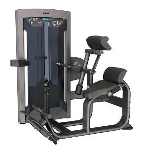 Разгибание спины Aerofit Impulse FE9732