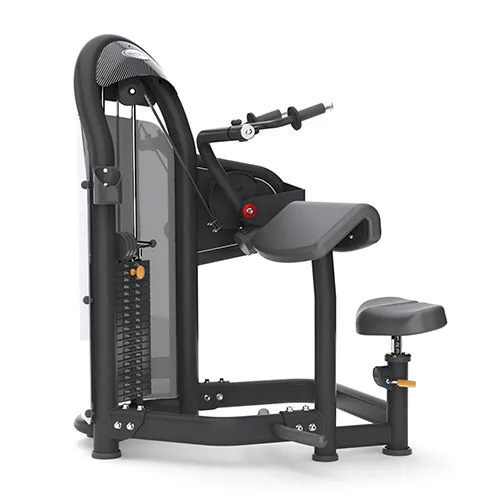 Трицепс-машина Matrix Fitness Aura G3-S45_02
