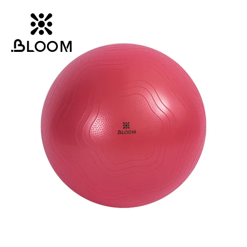 Мяч для йоги Bloom LB7051/55/RD 55 см красный