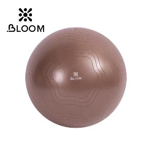 Bloom Мяч для йоги 65 см (анти-разрывной коричневый) LB7051-2