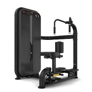 Торс-машина Vision Fitness