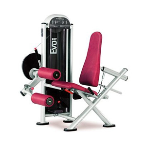 Купить Грузоблочный тренажер Panatta Fit Evo 1FE083 Сгибание ног в Москве