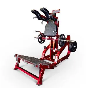 Приседания двусторонние Realleader LD-2003 (HSPro-2003)