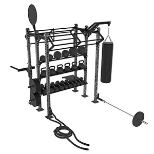 Многофункциональный комплекс Freemotion Fitness FMDYM3Z3