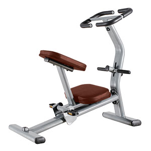Купить Bronze Gym J-033 в Москве