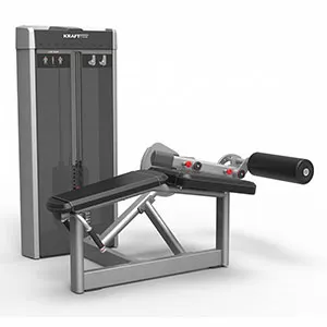 Сгибание ног лежа Kraft Fitness KFAPLC