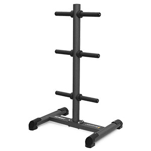 Купить Силовой тренажер Spirit Fitness Стойка для дисков SP-4266 в Москве