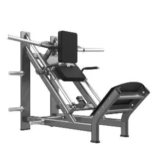 Жим ногами Realleader FM-1024E / Гакк-приседания Realleader FM-1024E (на свободных весах)