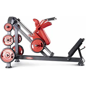 Нагружаемый дисками тренажер Panatta FreeWeight Special 1FW087