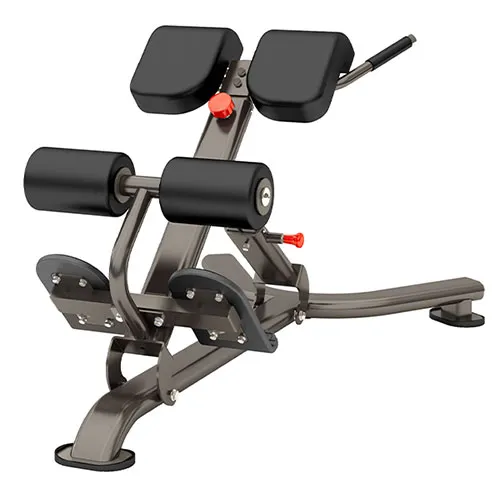 Гиперэкстензия Smith Fitness Excellence DR010B