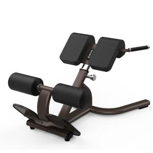 Купить SHUA Back extension SH-G8858 Гиперэкстензия в Москве
