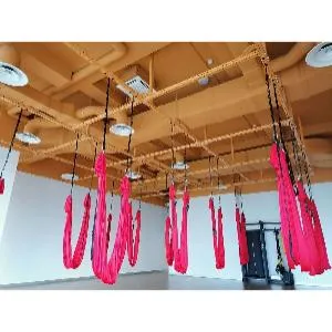 Подвесная система для антигравити йоги Targex Модель 3