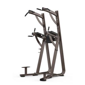 SHUA Chin Dip Leg Raise Station SH-G8888 Турник-брусья