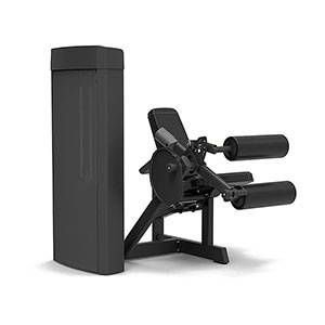 Купить Грузоблочный тренажер Spirit Fitness SP-4306 Сгибание ног сидя в Москве