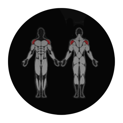 Сгибание ног лежа INTENZA EL-15