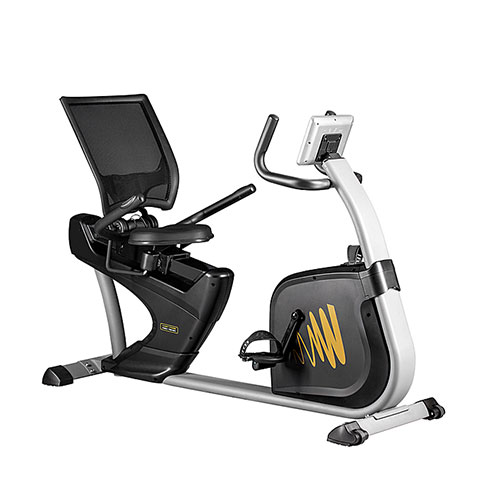 Кардиотренажер Hasttings Wega RS400