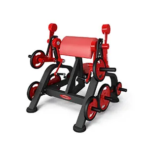 Нагружаемый дисками тренажер Panatta FreeWeight Special 1FW051