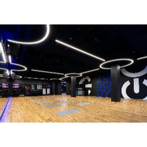 Купить Targex Система для хранения оборудования T-CUSTOM11 в Москве