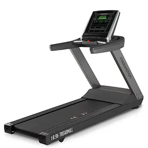 Беговая дорожка Freemotion Fitness T8.9b