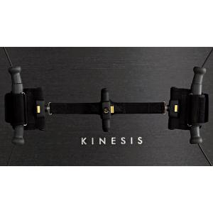 Купить Technogym Соединитель в Москве