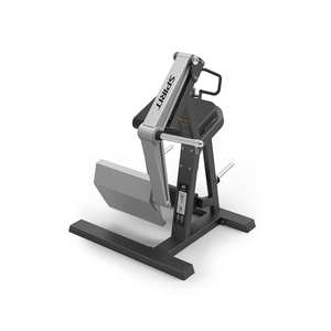 Купить Нагружаемый дисками тренажер Spirit Fitness SP-4510 в Москве
