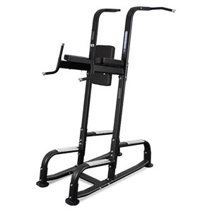 Купить Пресс / Брусья / Турник Bronze Gym BR-1017 в Москве