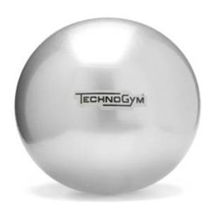 Купить Technogym Wellness Ball™ (55 см) в Москве