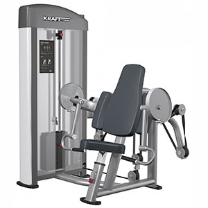 Купить Грузоблочный тренажер на верхнюю часть тела Kraft Fitness Бицепс KFDBI в Москве