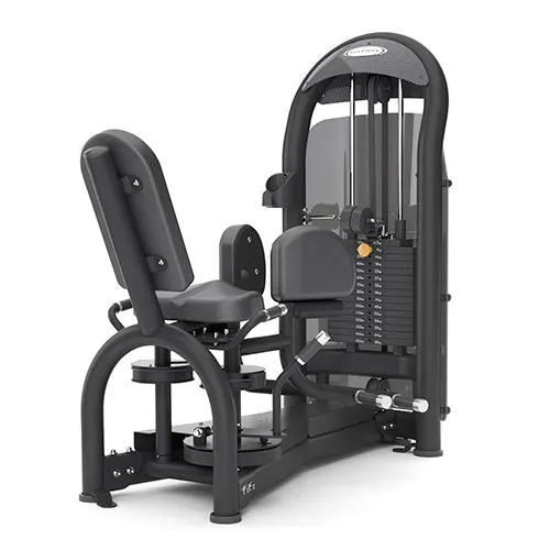 Приведение бедра Matrix Fitness Aura G3-S74_7